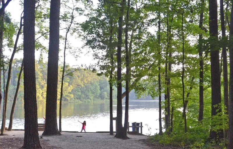 Lake Benson Park Lake Benson Park