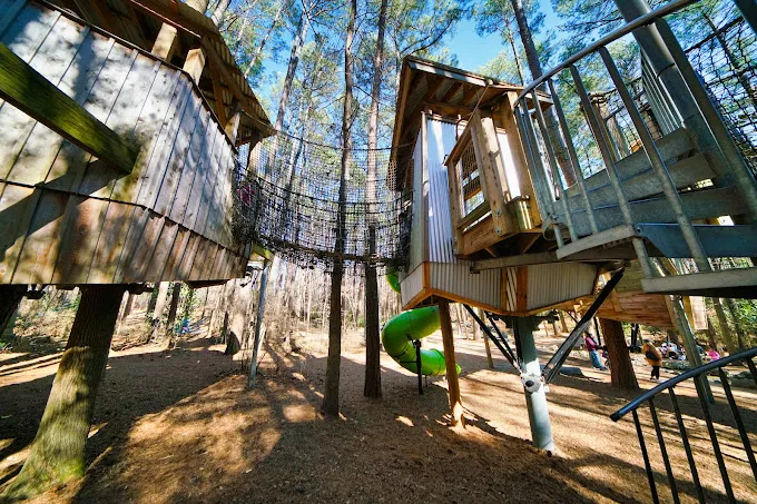 Museum of Life and Science in Durham, NC Museum of Life and Science in Durham, NC