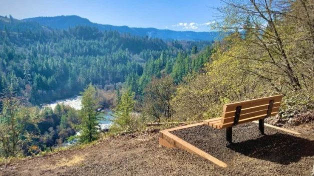 Serene Valley Overlook Wooden park bench on a gravel pad overlooking a vast, sunlit river valley densely forested with coniferous trees under a clear blue sky.