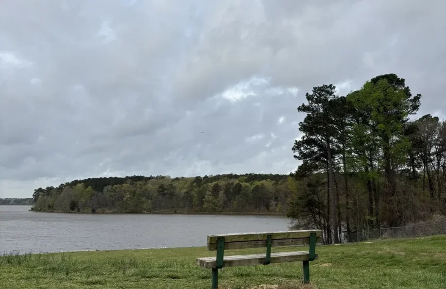 Lakeside Contemplation Wooden park bench on a grassy bank overlooking a calm lake under a heavily overcast sky, with a line of trees on the distant shore and a few taller trees nearby.
