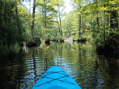Robertson Millpond Preserve