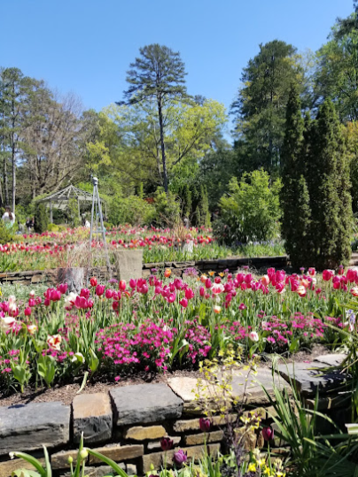 Sarah P. Duke Gardens