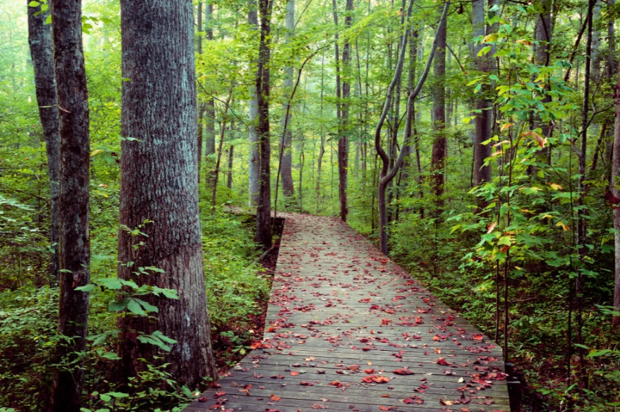 Hemlock Bluffs Nature Preserve Hemlock Bluffs Nature Preserve