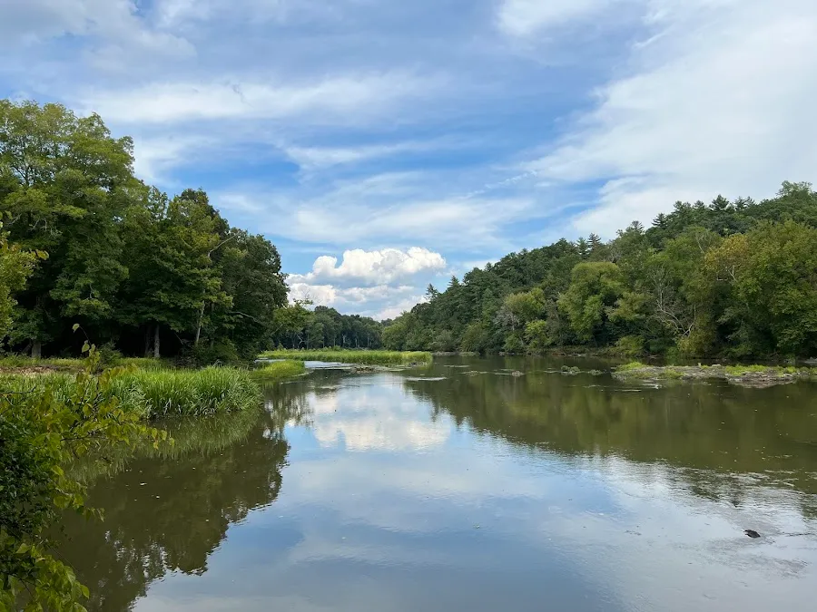 White Pines Nature Preserve