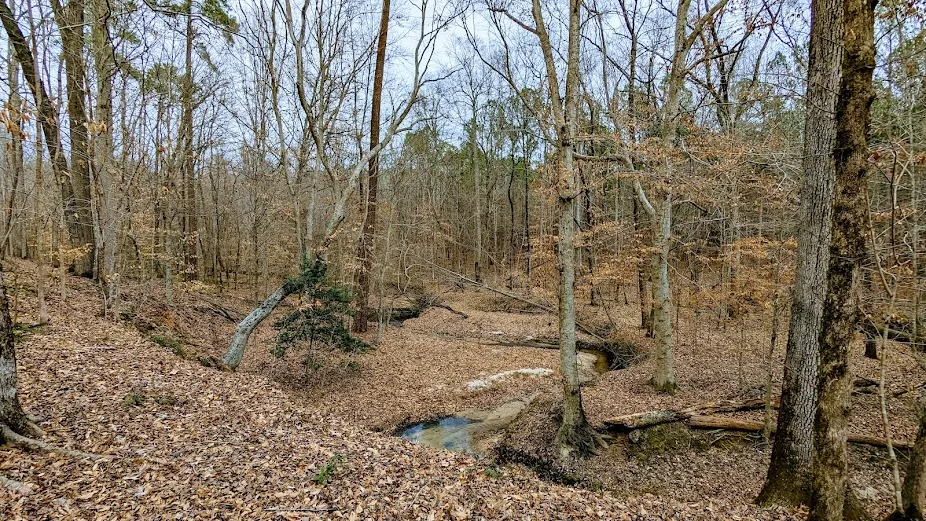 Clayton River Walk on the Neuse